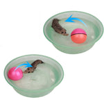 Fun Rolling Ball Beaver Toy for Cat