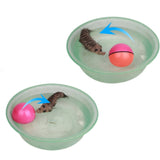 Fun Rolling Ball Beaver Toy for Cat