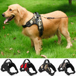 Heavy Duty Nylon Padded Dog Harness Black Camouflage Red